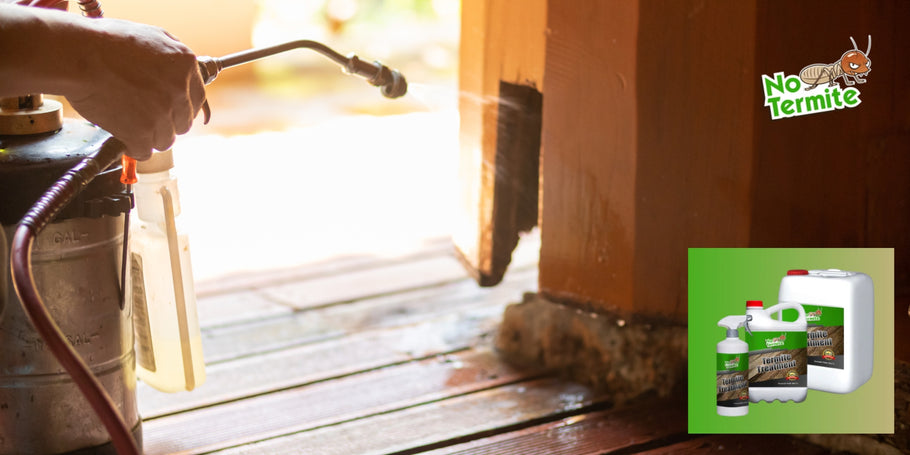 Können Termiten schwere strukturelle Schäden an einem Haus verursachen?