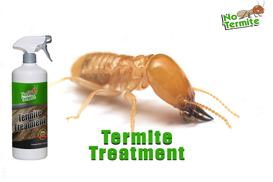 Die Bedeutung von Anti-Termiten-Strategien