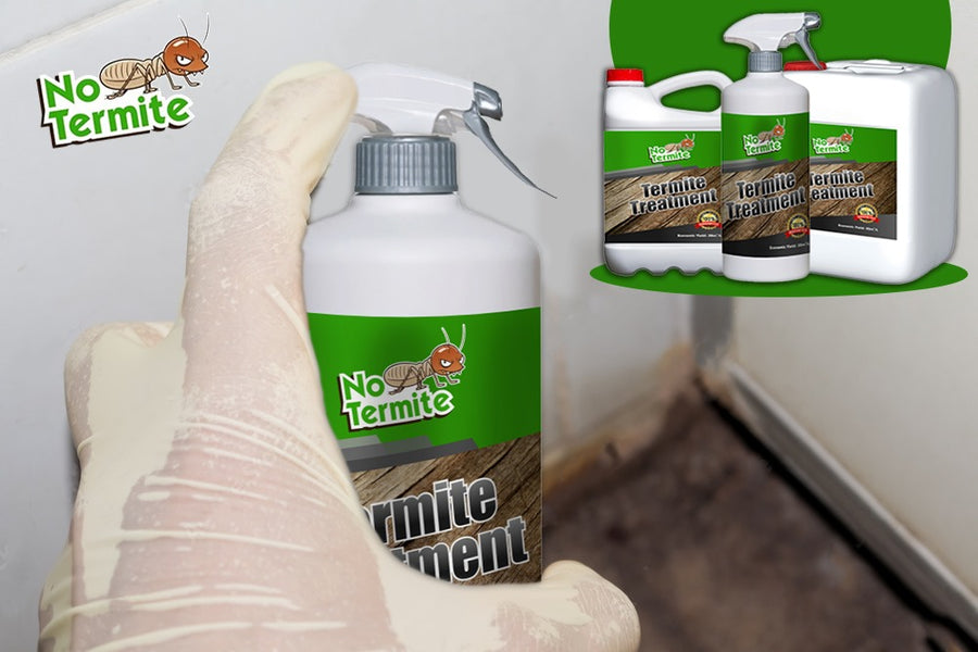 Wie schützen Sie Ihr Zuhause mit Anti-Termiten-Maßnahmen?