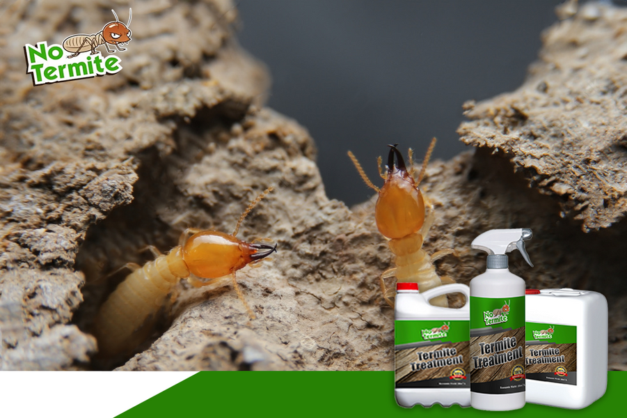 Was sind die Schlüsselelemente einer wirksamen Termitenabwehr?